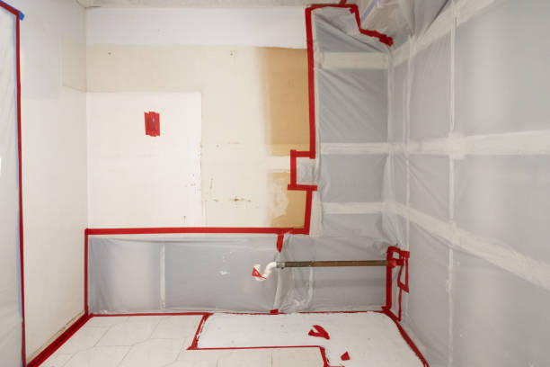 Forensic Mold Investigation in Whitesboro, AL