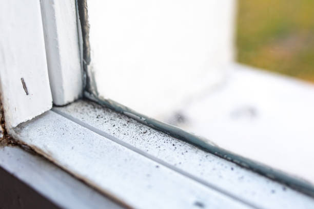 Asbestos and Lead Testing During Mold Inspection in Whitesboro, AL