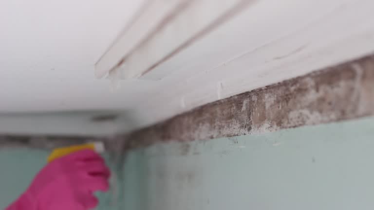 Best Air Quality Testing for Mold Spores  in Whitesboro, AL